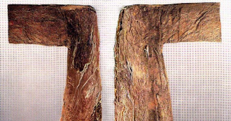 Consacrazioni FSSPX: è scisma!